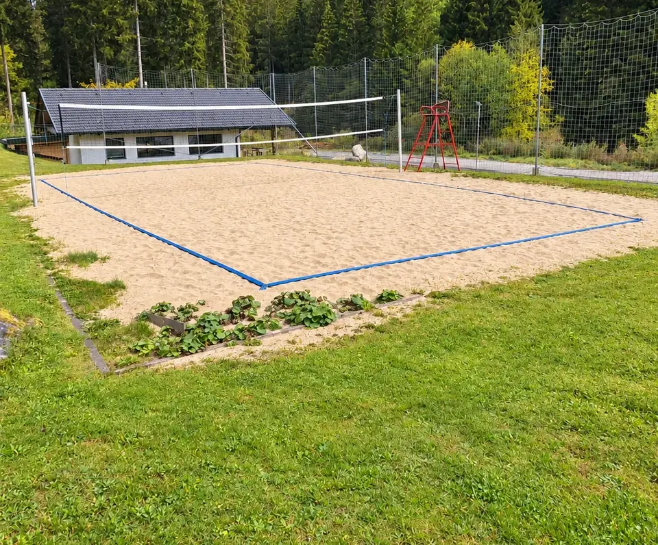Beachvolleyballplatz mit Netz und Schiedsrichterstuhl vor dem Wald