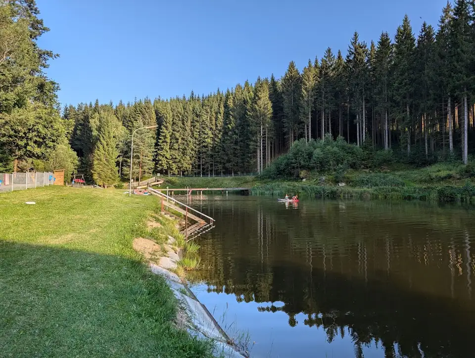 Naturbadeteich des Waldbads Rappottenstein mit Holzsteg und Liegewiese, umgeben von Wald